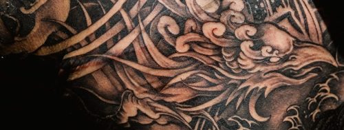 dreakarolina_8771
